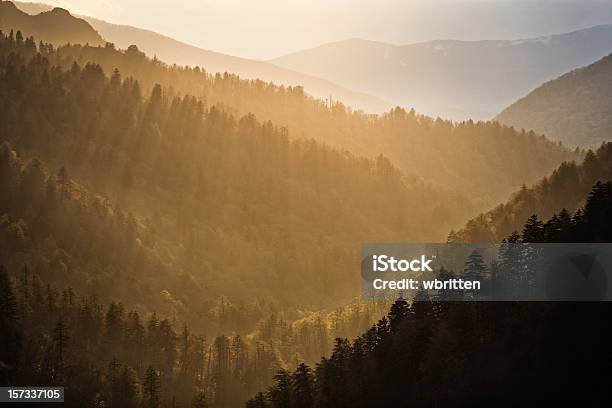 Foto de Iluminação Espiritual e mais fotos de stock de Parque Nacional das Great Smoky Mountains - Parque Nacional das Great Smoky Mountains, Appalachia, Aventura