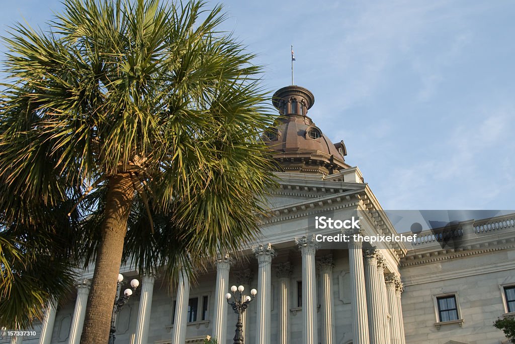 Palmetto drzewa i South Carolina State House. - Zbiór zdjęć royalty-free (Columbia - Stan Karolina Południowa)