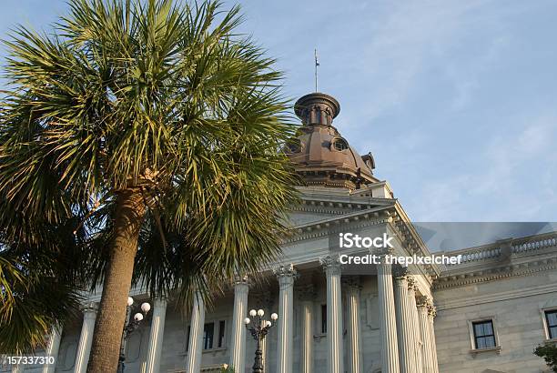 Palmetto Drzewa I South Carolina State House - zdjęcia stockowe i więcej obrazów Columbia - Stan Karolina Południowa - Columbia - Stan Karolina Południowa, Stan Karolina Południowa, Palma sabałowa