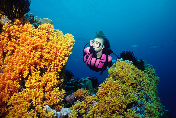 Lone SCUBA Diver in the BVI