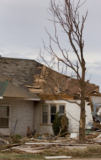 istock Tornado ripped apart home and trees outside Windsor, Colorado. 157337478