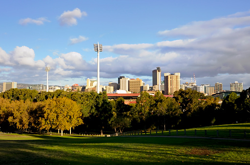 Cityscape of South Australia's state capital, with the cricket oval visible beyond the trees.