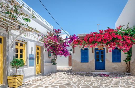 Antiparos, Greece - June 23 2023: Traditional whitewashed houses in cobblestone alley with bougainvillea trees. Traditional orthodox Greek chapel in the background