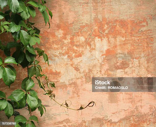 Photo libre de droit de Muraille Romaine Fond Avec Vin Rome Italie banque d'images et plus d'images libres de droit de Italie - Italie, Culture italienne, Mur