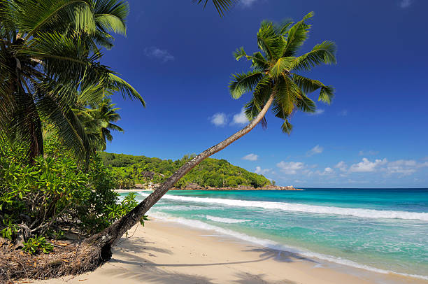 istock Takamaka Beach on Mahe island 157338931