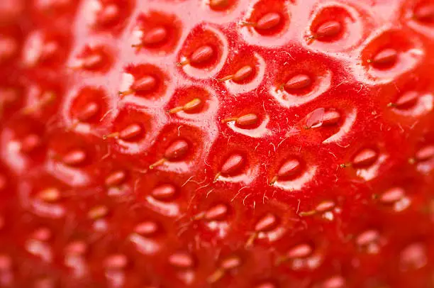 Photo of Closeup of fresh strawberry showing seeds