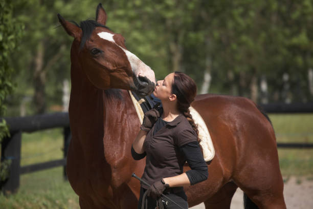 istock Young woman and a horse 157339403