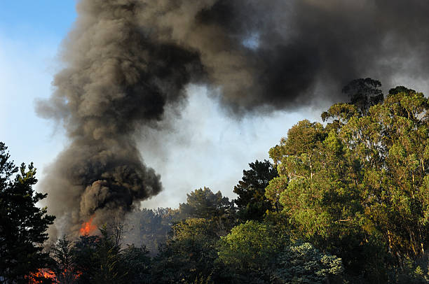 istock Smoke and Fire From Out of Control Wildfire 157339470
