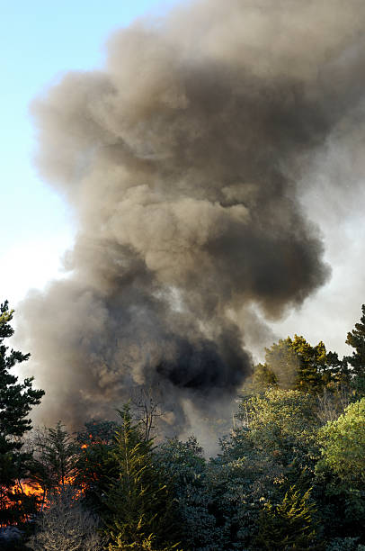 istock Smoke and Fire From Out of Control Wildfire 157339473