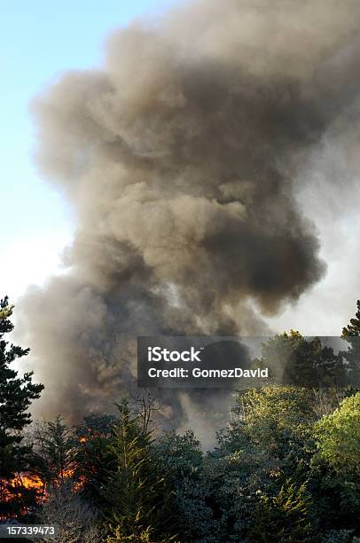 Smoke And Fire From Out Of Control Wildfire Stock Photo - Download Image Now - Forest, Smoke - Physical Structure, Accidents and Disasters