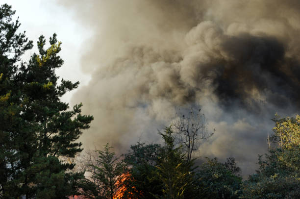 istock Smoke and Fire From Out of Control Wildfire 157339474