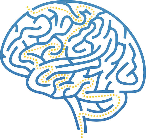 1 credit Gehirn "maze" – Vektorgrafik