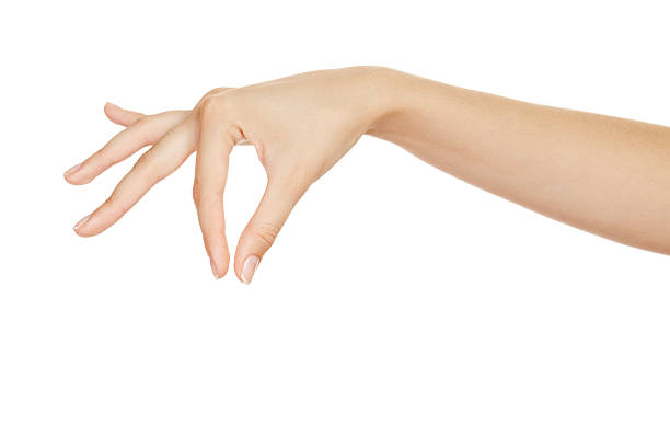 istock Beautiful woman hand  holding items  isolated on white background. 157341137