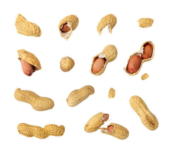 istock Peanuts Isolated, Roasted Arachis Nuts, Open Pea Nut, Whole Groundnut with Shell, Peanut on White 1573436366