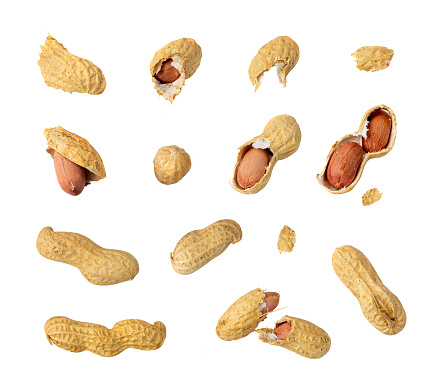 Peanuts Isolated, Roasted Arachis Nuts, Open Pea Nut, Whole Groundnut with Shell, Macro Peanut Set on White Background, Clipping Path