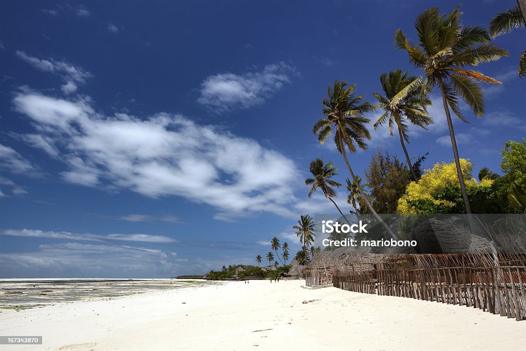 Zanzibar The beautiful beaches of Zanzibar Africa Stock Photo