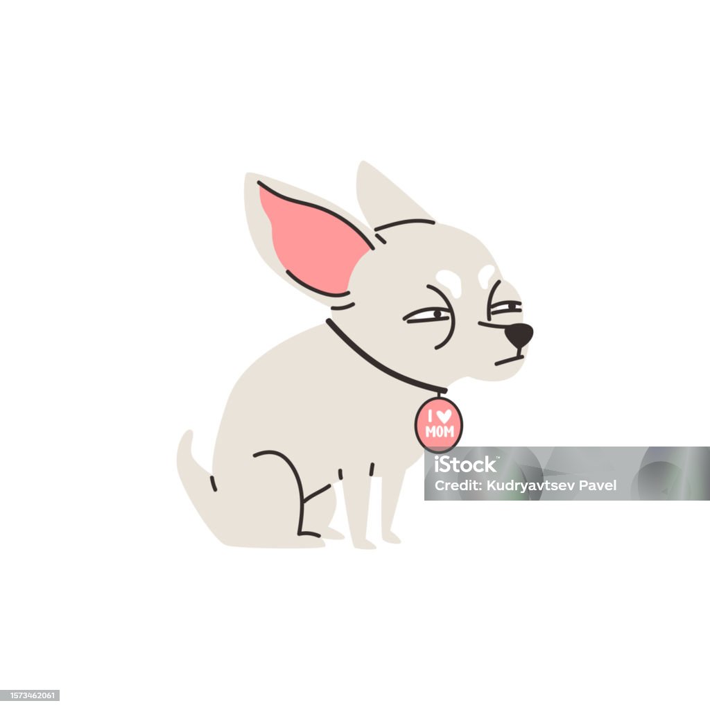 Squinting Chihuahua Dog Flat Style Vector Illustration Stock