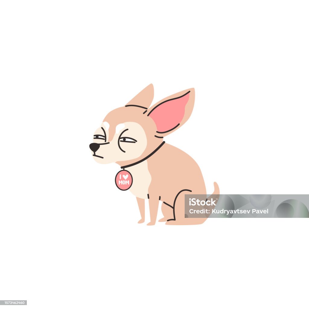 Funny Squinting Chihuahua Dog With Medallion On Neck Flat Style Stock
