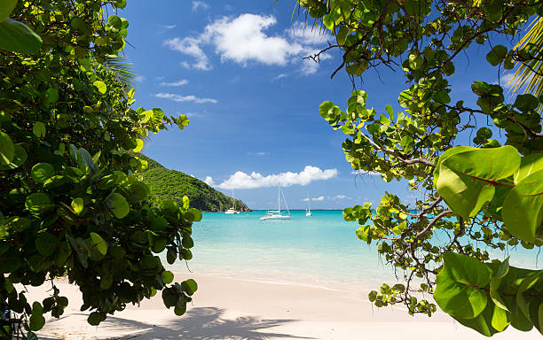 herrlichen strand anse marcel auf st martin - environment nature tranquil scene nautical vessel stock-fotos und bilder