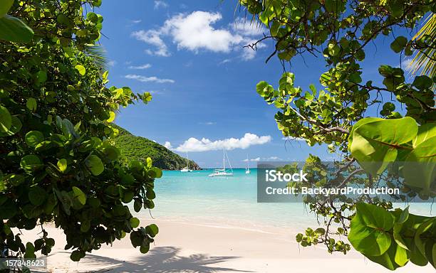Gorgeous Beach At Anse Marcel Resort In St Martin Stock Photo - Download Image Now - Sint Maarten, Saint Martin - Caribbean, Caribbean