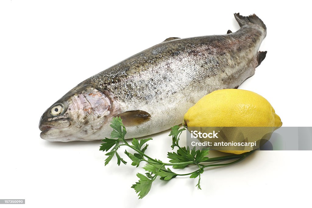 Forelle über weiß - Lizenzfrei Fisch Stock-Foto