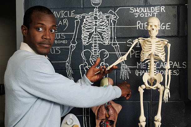 Artistic representation of a human hand skeleton with Osteoarthritis.