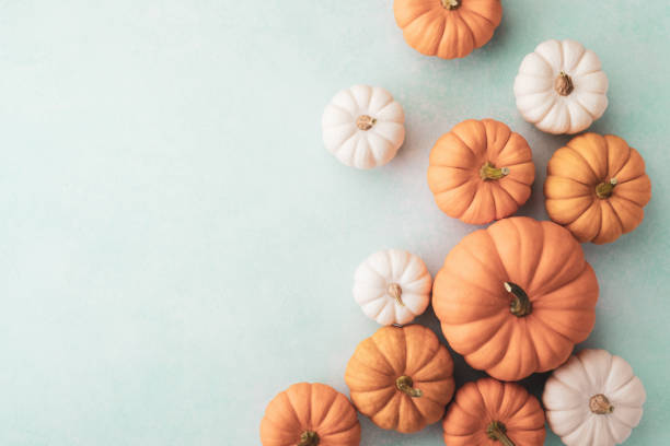 istock Decorative pumpkins on turquoise background top view, flat lay. Autumn, Thanksgiving or Halloween minimalist greeting card 1573507767