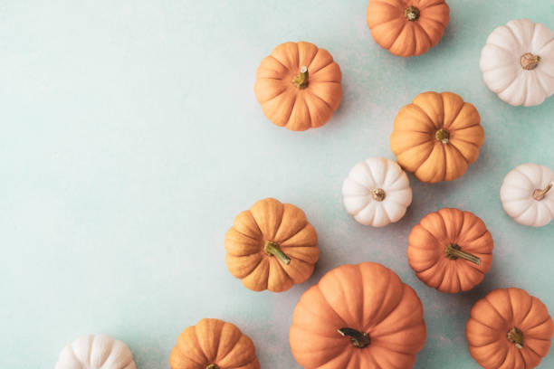 istock Various small decorative pumpkins on blue background top view. Autumn, Thanksgiving or Halloween minimalist greeting card 1573510375