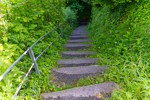 Looking down stairway at famous hiking trail named Swiss path at Swiss village of Sisikon on a sunny spring day. Photo taken May 22nd, 2023, Sisikon, Switzerland.