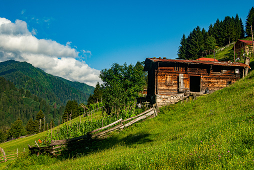 Wooden plateau house with garden in Ayder plateau - Kaçkar Mountains National Park