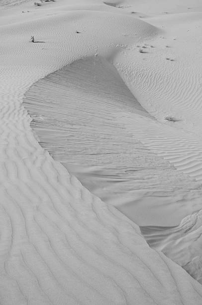 istock Osian,Thar desert,Rajasthan,India. 157356329