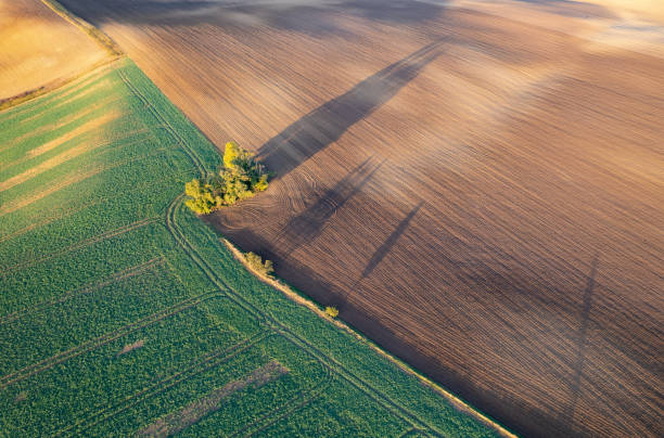 istock Autumn fields in Czech Moravia seen from above, drone photo 1573563631