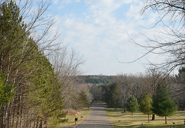 Road in the Farmland