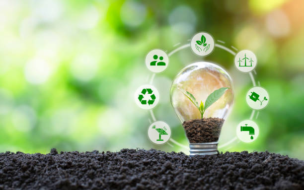 istock cropping analysis There are green environmental icons around the light bulbs. Energy saving and environmental protection day concept. Renewable energy. Sustainable energy sources. 1573580795