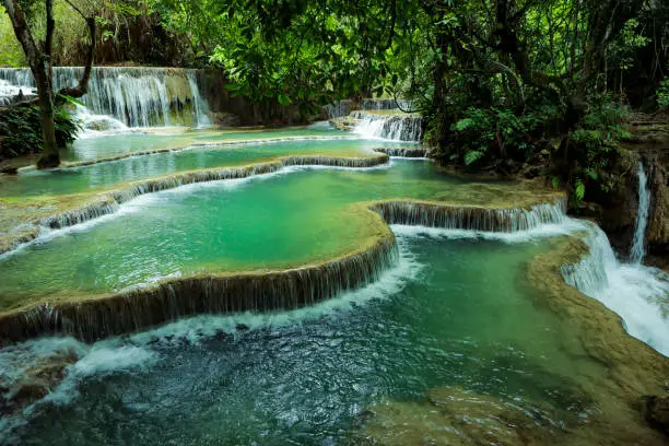 tad kuang si one of beautiful limestone waterfall in luangprabang one of most popular attraction in northern of lao