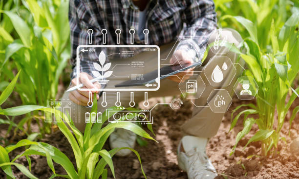 istock Concept of smart farmer using tablet computer in the field garden with sunset light, the application of modern technology in agricultural cultivation activities. 1573587743