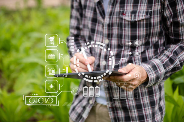 istock Concept of smart farmer using tablet computer in the field garden with sunset light, the application of modern technology in agricultural cultivation activities. 1573587767