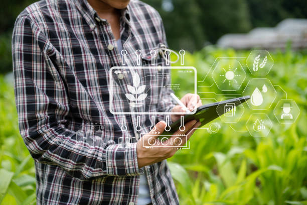 istock Concept of smart farmer using tablet computer in the field garden with sunset light, the application of modern technology in agricultural cultivation activities. 1573588187