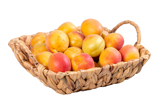 Fresh apricots. Ripe apricots in a basket isolated on white background. Bulk apricots. close up