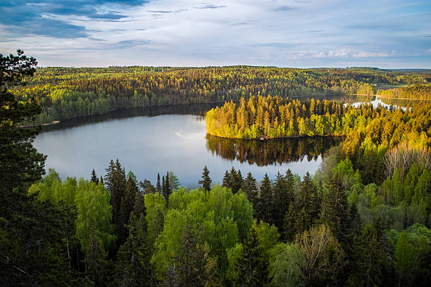 istock Lake View in Finland 157362250