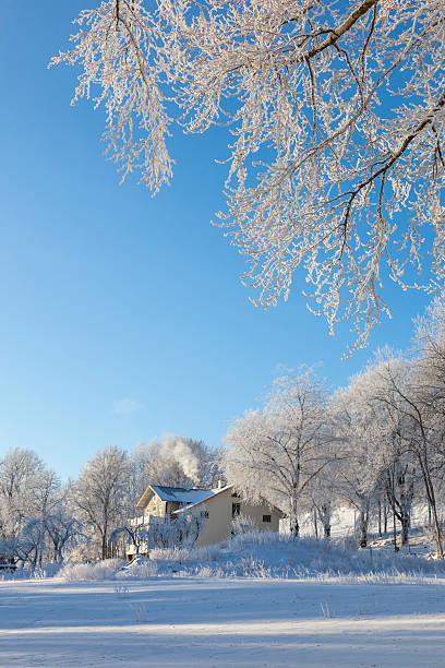 istock House in snowy landscape 157362517