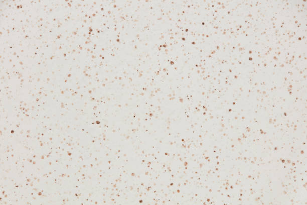 istock Beige and white ceramic texture of plate with dots. 1573661059