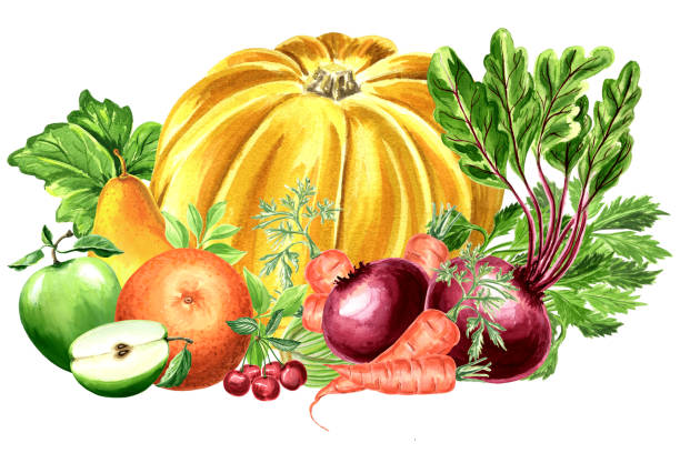 illustrazioni stock, clip art, cartoni animati e icone di tendenza di composizione ad acquerello di zucca gialla con frutta e verdura. . - juice celery drink vegetable