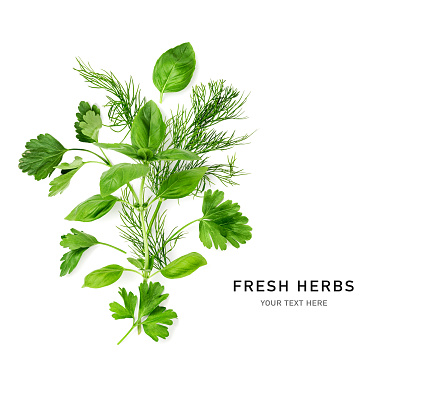 Parsley, basil and dill leaves composition. Creative layout with fresh green kitchen herbs isolated on white background. Flat lay. Design element. Healthy eating and dieting food concept