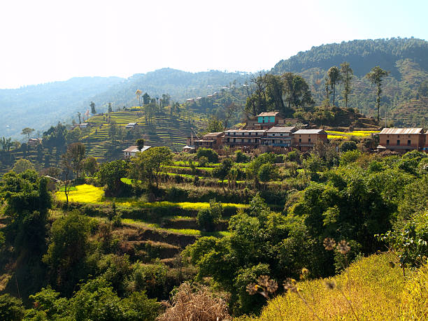 Agricultural Nepali landscape. Terraces. The traditional agricultural landscape near Nagarkot, Nepal. nagarkot photos stock pictures, royalty-free photos & images