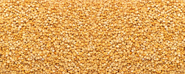 istock Dry Split Yellow Peas Texture Background, Raw Pea Bean Pattern, Legume Mockup with Copy Space 1573682606