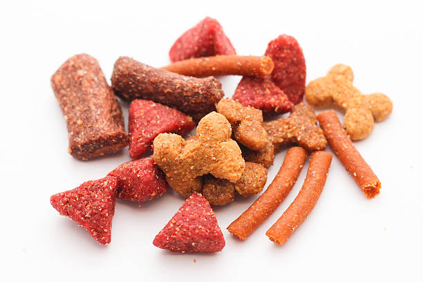 istock Dry Dog Food 157369297