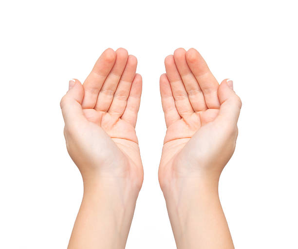 istock Isolated female hands palms held subject 157372369