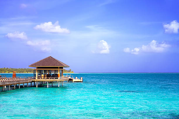 istock Island in ocean, overwater villa with endless swimming pools. Ma 157372385
