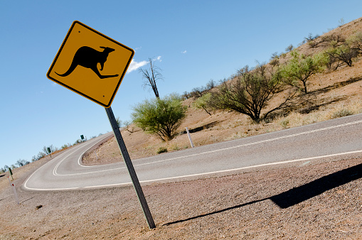 A common Australian road warning sign featuring a hopping kangaroo.